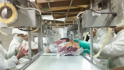 Suspensión de dos frigoríficos por incumplir condiciones higiénico-sanitarias