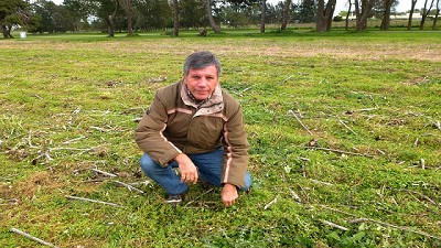 En el suelo, datos claves para entender cómo funcionan los herbicidas 