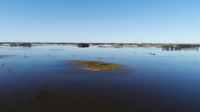 Apuran una ley de seguros por las pérdidas climáticas para el campo