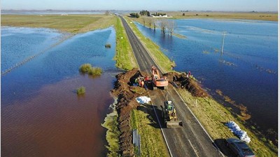Quedaron bajo agua 150.000 hectáreas de trigo y peligra el inicio de la siembra de maíz