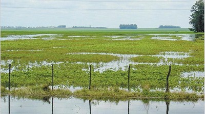 Inundaciones: alertan por un panorama complicado para los próximos meses