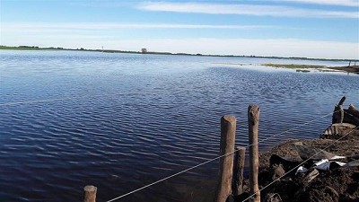 Lo que pasa en la pampa húmeda no sólo es responsabilidad del clima, por Héctor Carta