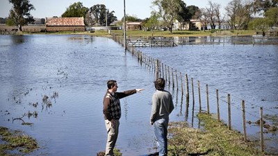 Desolación: los campos ya casi son lagunas en Azul y en Henderson