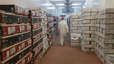 Qué participación tuvo el campo en las exportaciones totales de los primeros siete meses del año