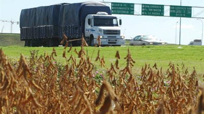 Córdoba: fuerte pérdida económica por la caída en la producción de soja