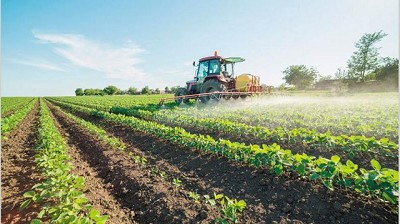 Pese a las inundaciones, prevén que aumente la actividad inmobiliaria rural