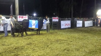 En Expo Bra se entregaron Los Premios Bío Jajá© a Los Grandes Campeones Brangus