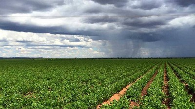 Registro de lluvias al 21 de septiembre del 2017