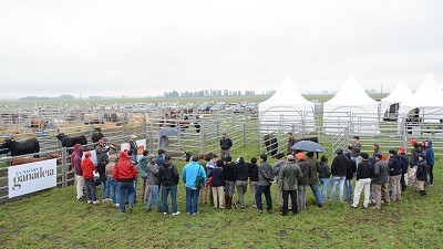 La Nación Ganadera, un faro para la producción argentina