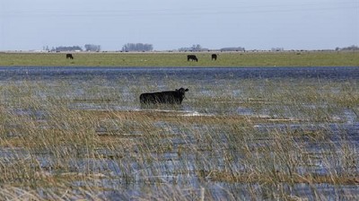 Inundaciones: cómo manejar el rodeo en un momento crítico