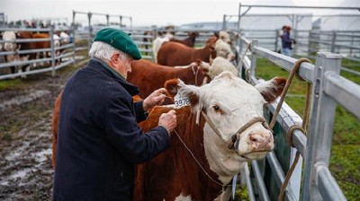 Productores con expectativas renovadas