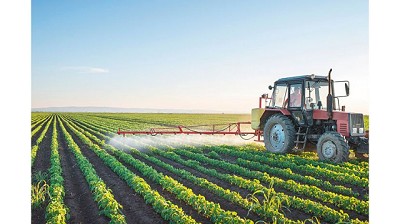 La venta de campos, de pymes y la construcción, ganan con el revalúo