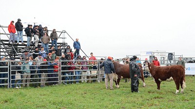 Se destacó a la genética como una pieza central para el crecimiento de la ganadería
