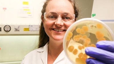 Una empresa de EE.UU. de tecnología para el agro abrió una oficina en el país