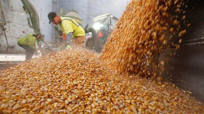 Crecen los mercados de commodities a pesar de la caída de los precios