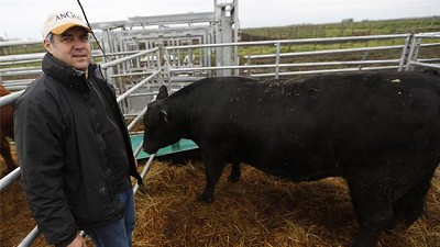 La ganadería que viene: optimismo con bases sólidas para un crecimiento sostenible