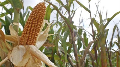 Destacan una fuerte mejora en el uso de la tecnología