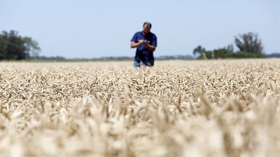 El arduo camino hacia un país donde cada cual cumpla con su función, por Patricio Watson