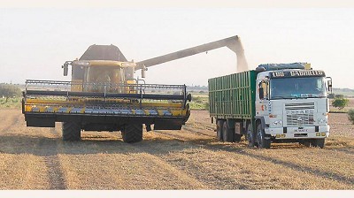 El Estado se quedó con 71% de la renta agrícola generada en septiembre