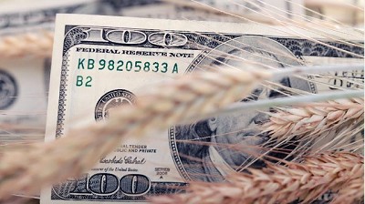 La liquidación de agrodólares cayó 8,8% en los primeros 9 meses de 2017