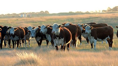 Con expectativas limitadas, comenzó la negociación Unión Europea-Mercosur en Brasilia