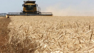 Miden la presión impositiva de las provincias en el agro