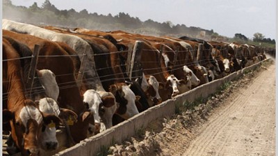 Argentina podría pasar a ser un acreedor ambiental tras un nuevo cómputo