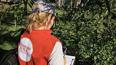 Detectaron plantas positivas al HLB en el Norte de Corrientes