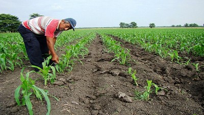 En agosto del 2018 se realizará el censo nacional agropecuario