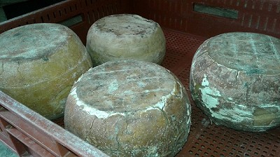 Decomiso de productos lácteos en el sur de Santa Fe