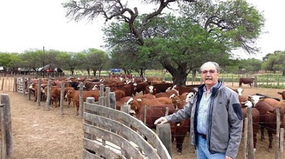 Con eficiencia, el ciclo ganadero se completa en Santiago del Estero