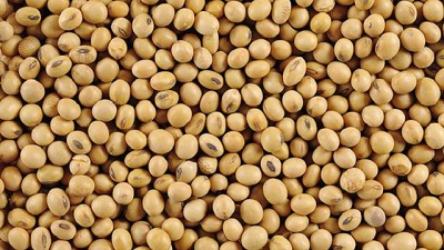 A pesar de todo, el precio de la soja aguanta, por Diego de la Puente