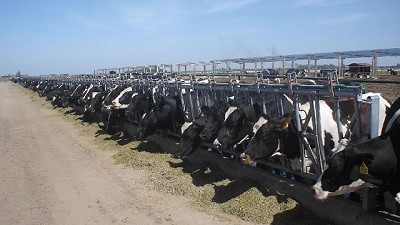 Ponerle un corazón al robot en el tambo