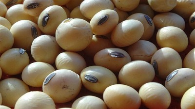 Creció el uso de semilla fiscalizada en la campaña de soja 2016/17