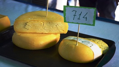 Capacitan a agricultores familiares de Misiones para agregar valor a la producción lechera