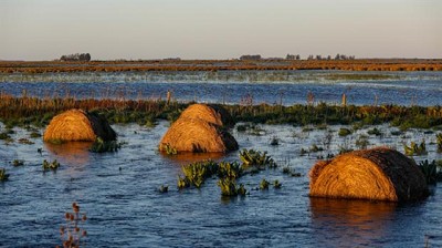 Comenzó una obra contra las inundaciones