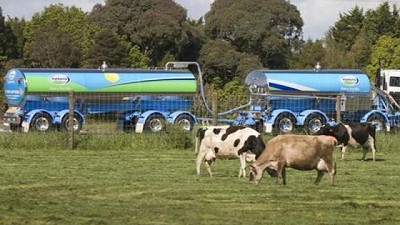 Fonterra es la mas viable para quedarse con SanCor