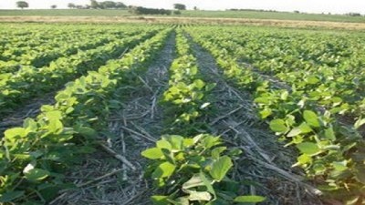 Buenas Prácticas Agrícolas: La clave para producir más y mejores alimentos