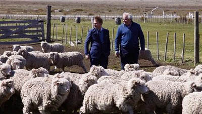 Lana: prácticas sustentables para agregar valor a la producción