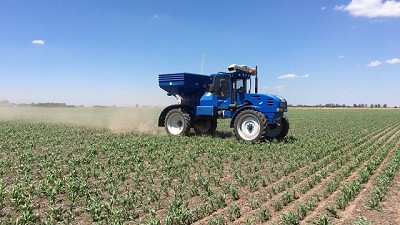 Nitrógeno: en el trigo y el maíz dividir la dosis da resultados