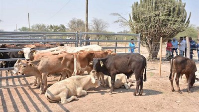 Qué hizo Formosa en 2017 para apoyar a la agricultura y la ganadería