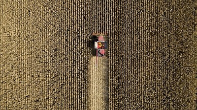 El negocio de alimentar al mundo