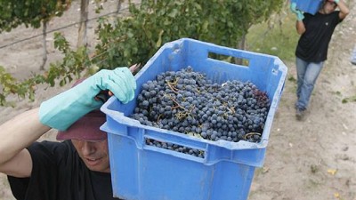 Alimentos: por qué son cada vez más importantes las certificaciones ambientales y laborales