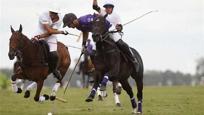 Caballos, una industria dormida que debe despertar, por Luis Tamborini