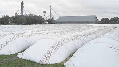 Los productores tienen US$11.600 millones en granos sin vender, por Pablo Adreani