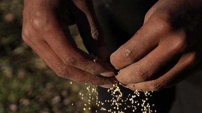 Renovación de línea de financiamiento de capital de trabajo para agregado de valor