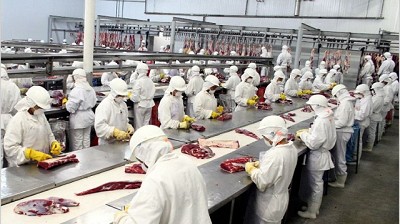 Prevén que crezcan 25% las exportaciones de carne bovina en 2018