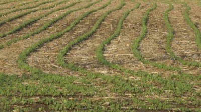 La microbiología agrícola aumenta la biodiversidad