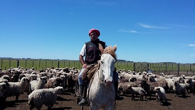 En plena zona núcleo, las ganaderías sacan pecho