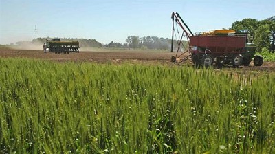 Buenos Aires: prevén que en 2018 será récord la participación del inmobiliario rural sobre el valor de la producción